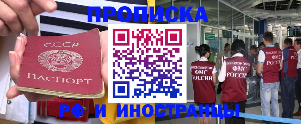 прописка 2025 в Могочи